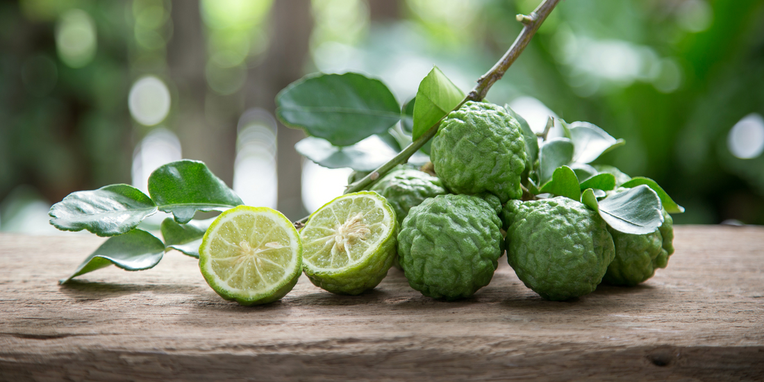 The Secrets of Bergamot
