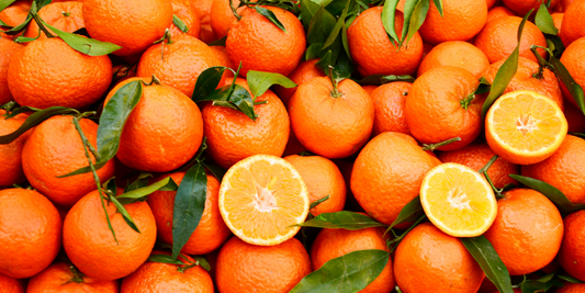 The Secrets of Clementine