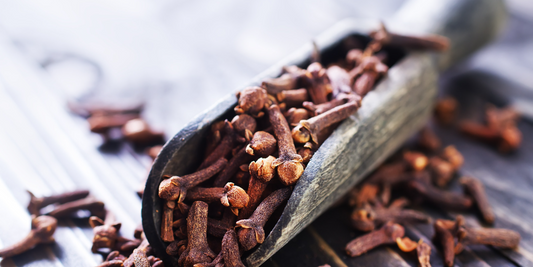 The Secrets of Clove Bud