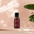 Fragrance Oils