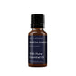 Birch Sweet Essential Oil
