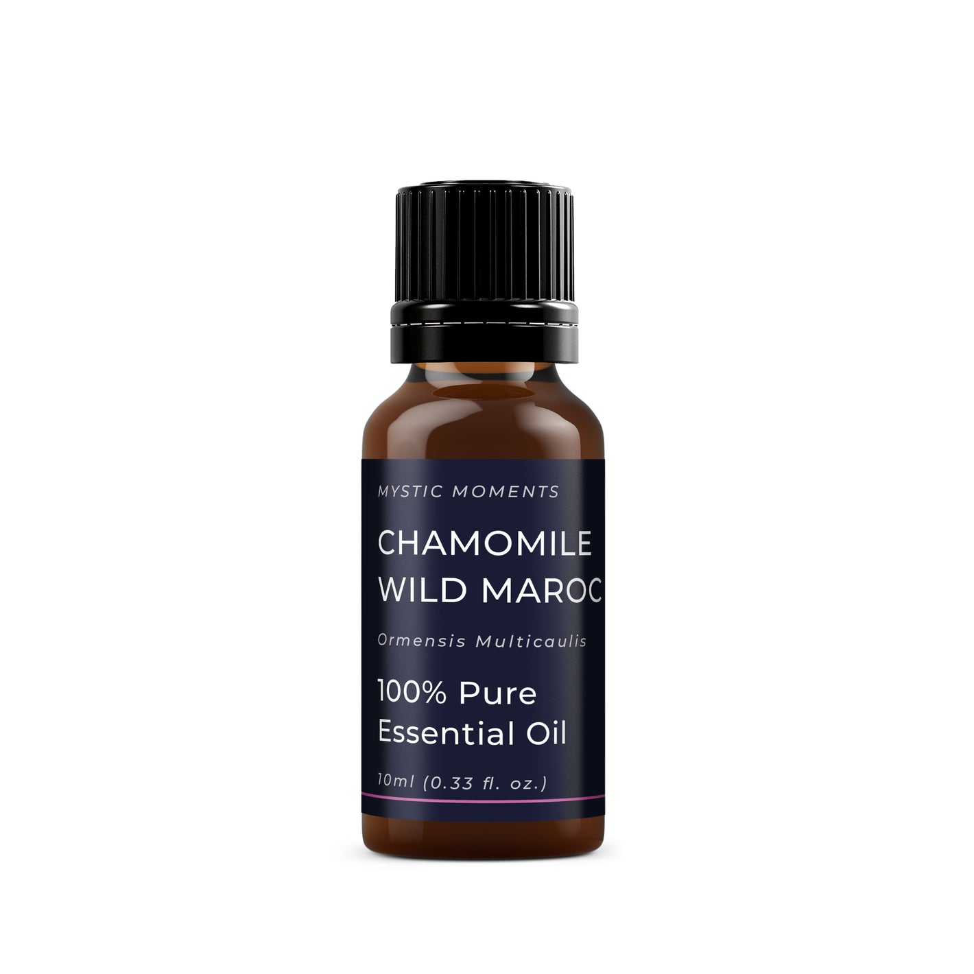 Chamomile Wild Maroc Essential Oil