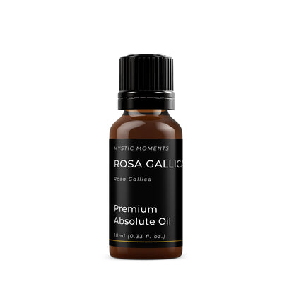Rosa Gallica - Absolute Oil