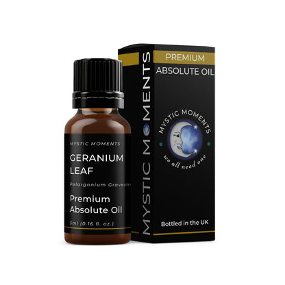 Geranium Leaf - Absolute Oil