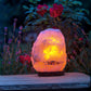 Natural Himalayan Salt Lamp 8-10Kg
