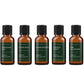 Organic Christmas | Essential Oil Gift Starter Pack