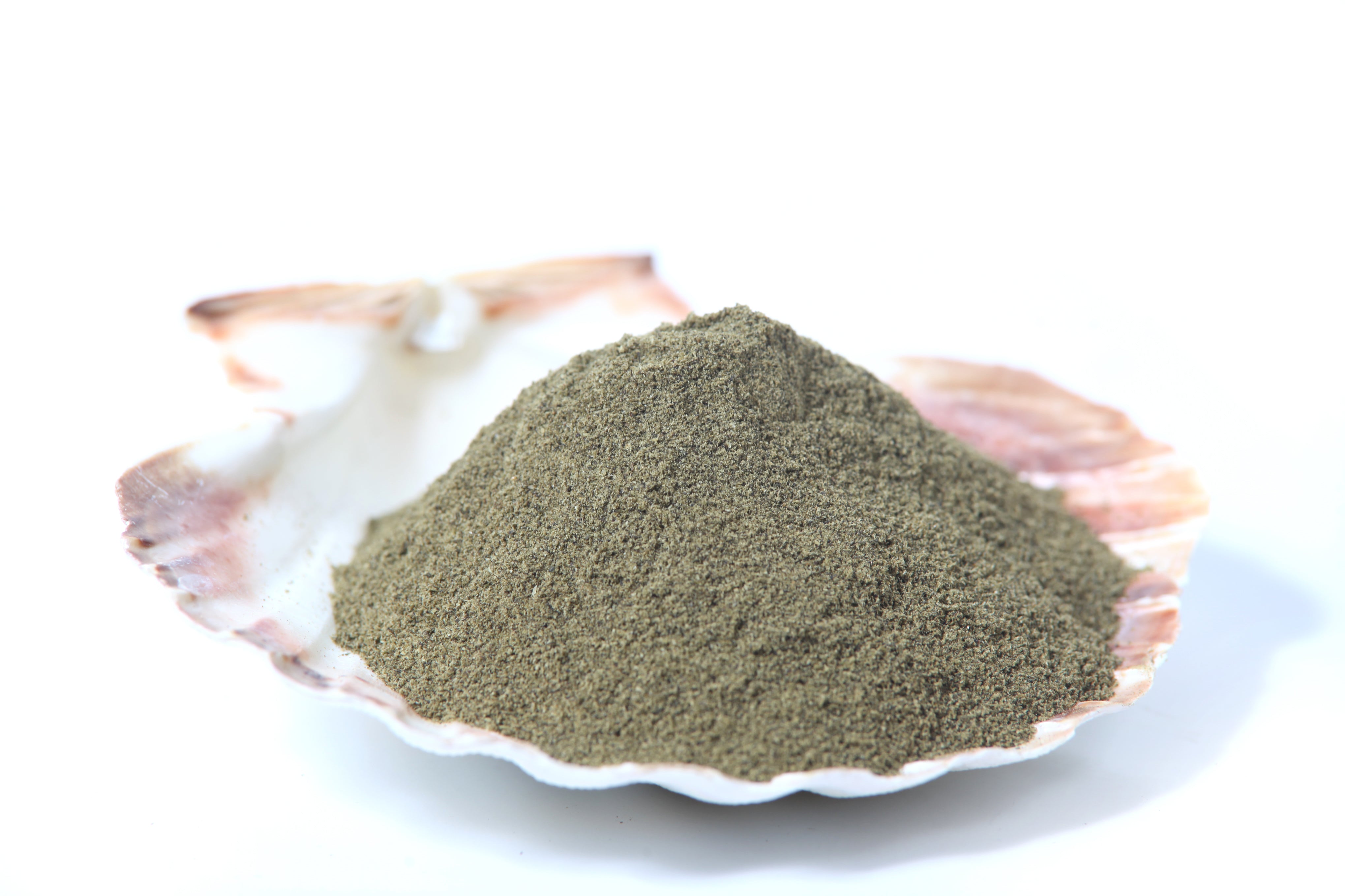 Seaweed Powder - Raw Materials