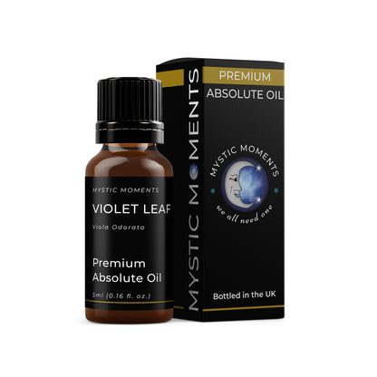 Violet Leaf - Absolute Oil