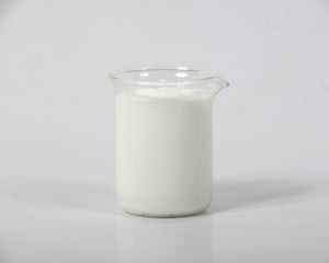 Lotion Base S&P Free - Botanical Skincare Base