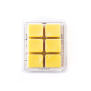 Lion’s Roar | Scented Wax Melt Clamshell