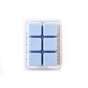 Pirate’s Bounty | Scented Wax Melt Clamshell
